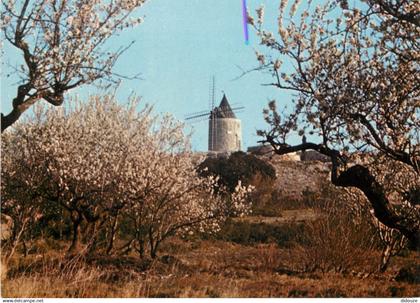 13 - Fontvieille - Le Moulin de Daudet - CPM - Voir Scans Recto-Verso