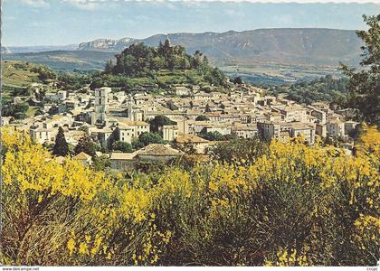 CPSM Forcalquier vue générale