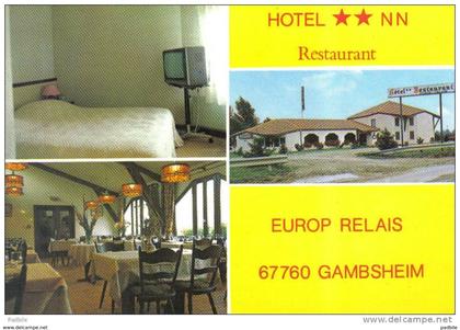 Carte Postale 67. Gambsheim  Hotel-Restaurant **Europ-Relais**  route du Rhin   trés beau plan