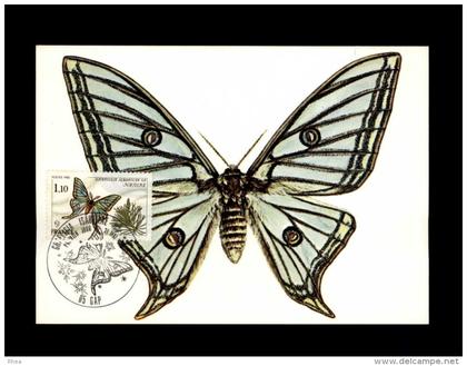 05 GAP - premier jour - papillon - carte philatélique