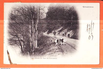 36604 / ⭐ GERARDMER 88-Vosges Aux bords du Lac de LONGEMER 1903 à Louise CORNU Verdun - WEICK 184