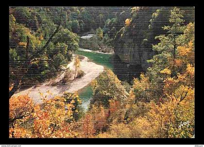 48 - Les Gorges du Tarn - Dans les Gorges - CPM - Voir Scans Recto-Verso