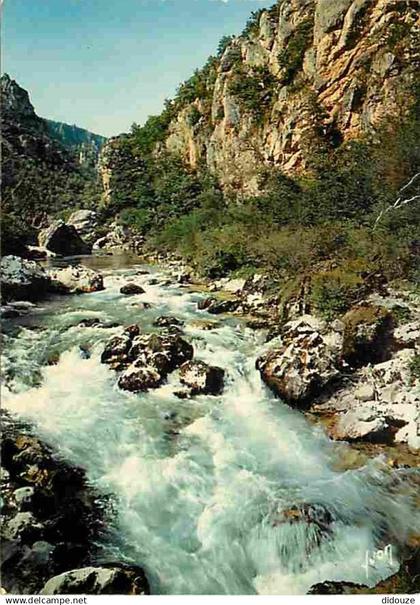 48 - Les Gorges du Tarn - Le Tarn au Pas du Soucy - CPM - Voir Scans Recto-Verso