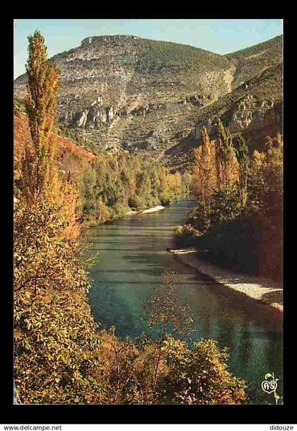 48 - Les Gorges du Tarn - Paysage d'Automne dans les Gorges. Le Tarn dominé par les ruines du Château de Castelos - Flam