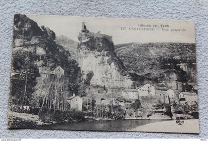 H584, Castelbouc, vue générale, Lozère 48