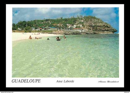 Guadeloupe - Anse Bertrand - Anse Laborde - Plage - CPM - Carte Neuve - Voir Scans Recto-Verso