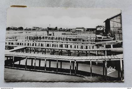 Cpsm 1962, Gujan Mestras, réservoir à huitres, Gironde 33