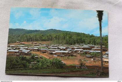 Comte, cacao, village des Hmong, Guyane