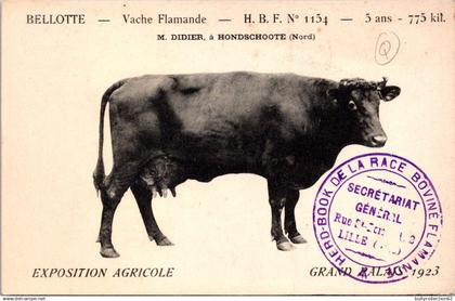 CPA  -  SELECTION  - HONDSHOOTE - Vache Flamande- BELLOTTE - M. didier