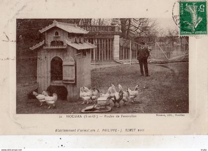 HOUDAN POULES DE FAVROLLES