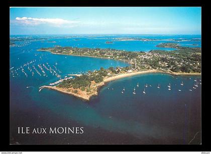 56 - Ile aux Moines - CPM - Voir Scans Recto-Verso