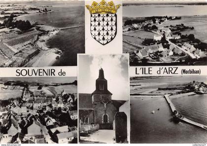 56-ILE D'ARZ - MULTIVUES