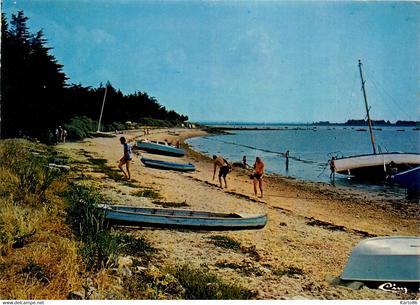 ile d'arz * vue sur la plage