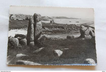 Cpm, ile de Batz, les menhirs naturels de l'ile, Finistère 29