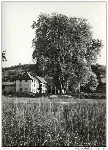 JALLIEU 38 - Bourgoin-Jallieu - Maison familiale de Mozas - Le Platane Géant