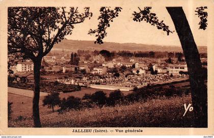 JALLIEU (Isère) - Vue générale