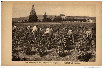 69 - JULIENAS - vendanges