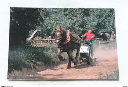 Cpm, Juvigny sous Andaine, la Michaudière, ferme du cheval de trait, Orne 61