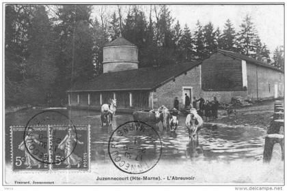 CARTE POSTALE ANCIENNE DE JUZENNECOURT -  L'ABREUVOIR