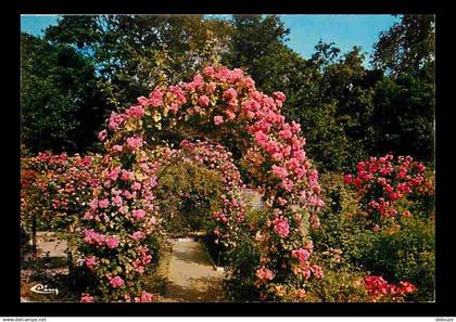 94 - L'Hay les Roses - La Roseraie - Fleurs - Flamme Postale de L'Hay les Roses - CPM - Voir Scans Recto-Verso