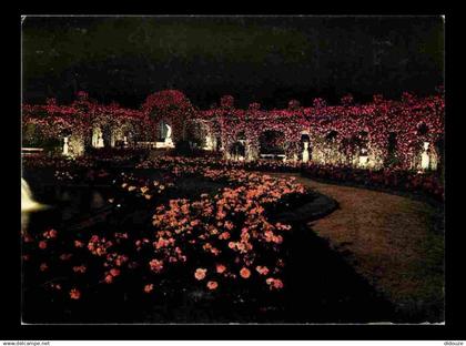 94 - L'Hay les Roses - La Roseraie - Fleurs - Roses - CPM - Voir Scans Recto-Verso