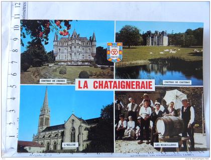 85 - LA  CHATAIGNERAIE - multivues