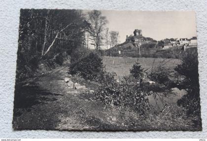 Cpm, la Roche Maurice, le bois du Pontois et le château, Finistère 29