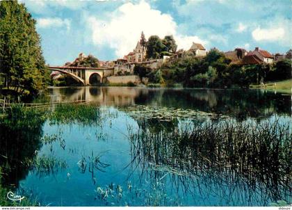 86 - La Roche Posay - Le site majestueux de la Creuse au pied de La Roche-Posay - CPM - Voir Scans Recto-Verso