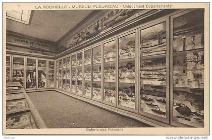 charente-maritime - ref F239 - la rochelle - museum fleurieau - uniquement departemental - galerie des poissons -