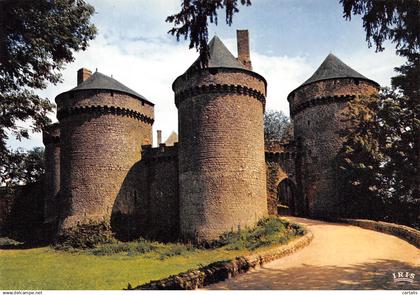 53-LASSAY LES CHATEAUX-N°4196-A/0109