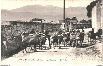 CPA Carte postale  France Lavelanet Le chevrier    VM85216