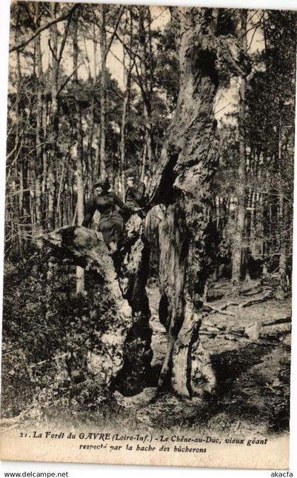 CPA La Foret du Gavre - Le Chene-au-Duc vieux geant (242266)