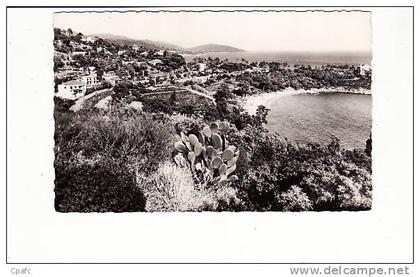 carte 1950 LE LAVANDOU / LA FOSSETTE