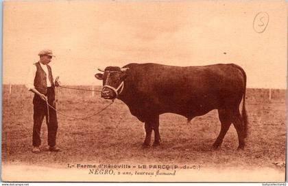 CPA -  SELECTION   -  LE PARCQ  -  Ferme d' Héroville . NEGRO 2 ans, Taureau Flamand