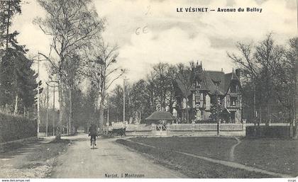 CPA Le Vésinet Avenue du Belloy