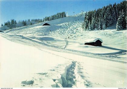 74 LES CONTAMINES MONTJOIE LES PISTES DE MONTJOIE