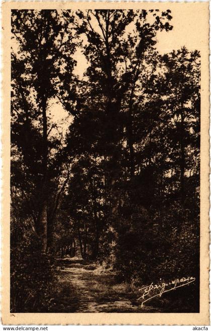 CPA LES ESSARTS-le-ROI Saint-Hubert-le-Roi - Road Scene (1386062)