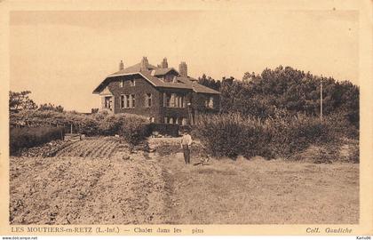 les moutiers en retz * villa chalet dans les pins