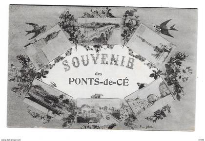 cpa, 49 Les Ponts de Ce, Les Ponts de Cé, Ponts de Cé, belle carte, Souvenir des Ponts de Cé, dos vierge et divisé