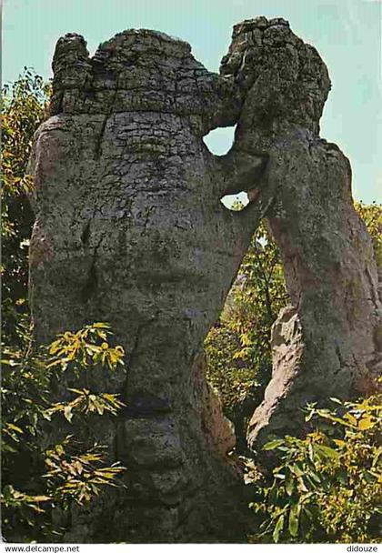 07 - Les Vans - Bois de Paiolive - L'Ours et le Lion - Curiosité Géologique - CPM - Voir Scans Recto-Verso