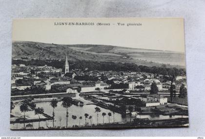 Ligny en Barrois, vue générale, Meuse 55