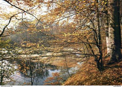 Automne en Limousin