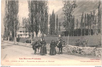 CPA  Carte Postale  France   Luz Saint Sauveur Avenue de Luz Paysannes se rendant au Marché    VM68762