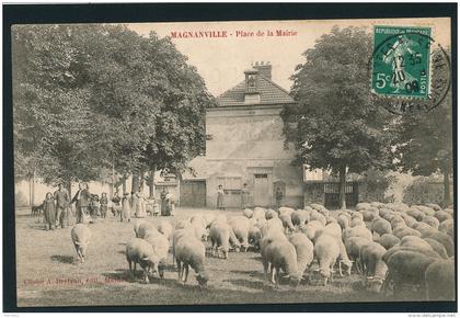 MAGNANVILLE - Place de la Mairie (animation avec moutons)