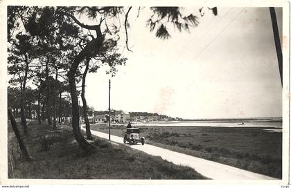 CPSM Marennes La Plage et ses pins