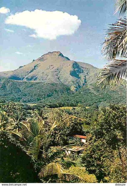 Martinique - La Montagne Pelée - La Montagne Pelée vue du Morne Rouge - CPM - Voir Scans Recto-Verso