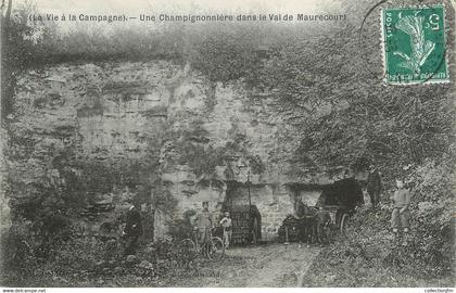 / CPA FRANCE 78 "Maurecourt, une champignonnière dans le val de Maurecourt"