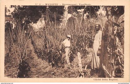 Mayotte / 29 - Dzoumogné - Vanillerie