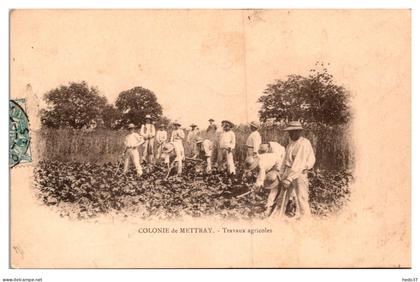 Mettray - Colonie de Mettray - Travaux Agricoles