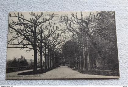 Mirambeau, le château, allée des platanes, Charente maritime 17